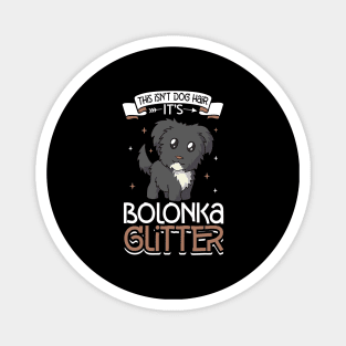 Bolonka glitter Magnet